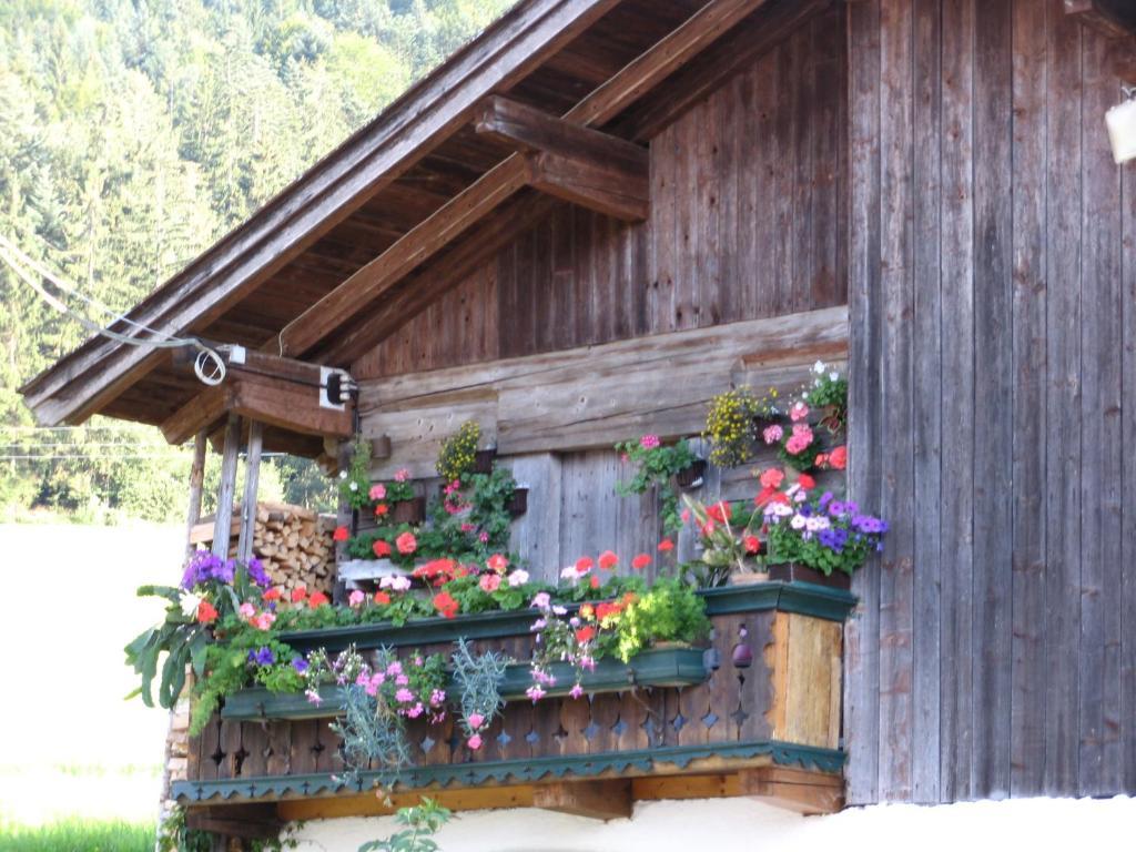 Landgasthof Ledererwirt Guest House Ebbs Luaran gambar